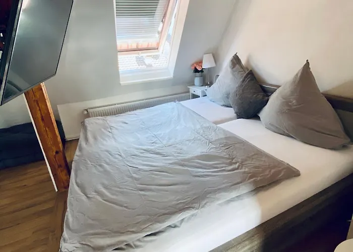 Altbauwohnung Mit Dachterrasse In Der Innenstadt